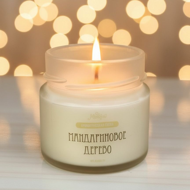 Мандариновое дерево