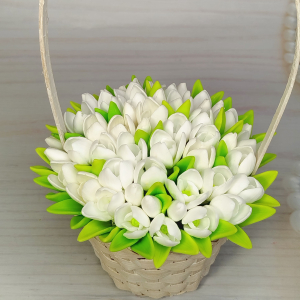 Подснежники Слёзы зимы