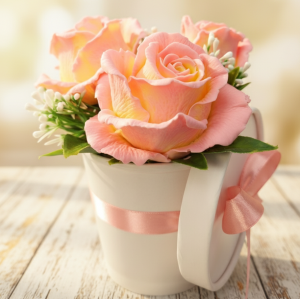 Спящие красавицы